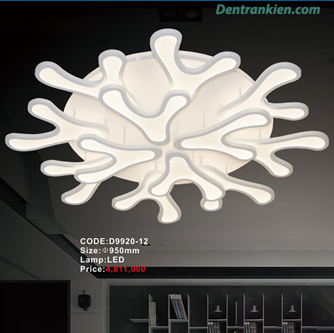 Đèn ốp trần kiểu D9920-12 1 den-op-tran-kieu-d9920-12