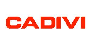 Trang chủ 200 CADIVI thiet bi dien la doi tac cua den tran kien