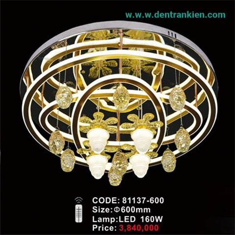 den-mam-op-tran-81137-600