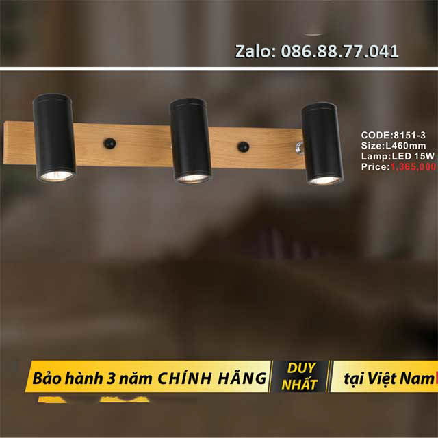 Đèn soi tranh 8151-3