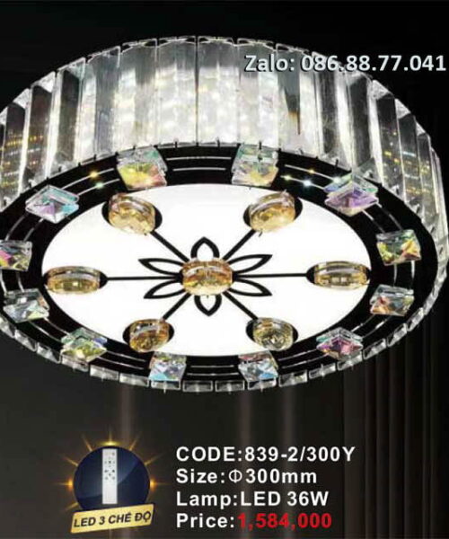 den-led-op-tran-839-2-300y