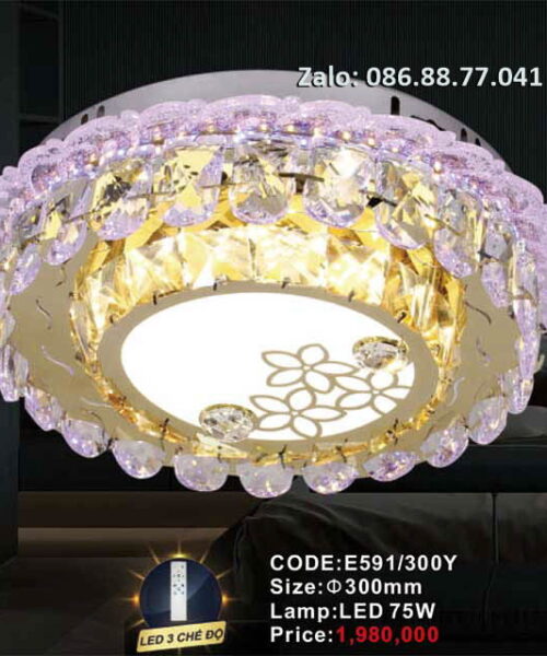 den-led-op-tran-e591-300y