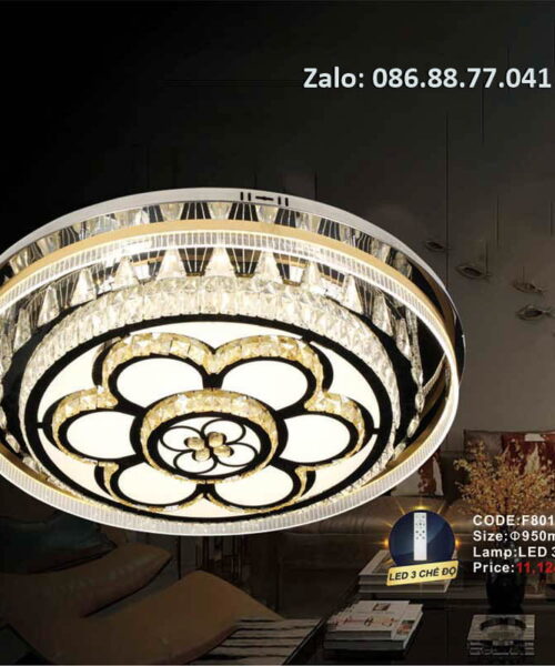 den-mam-led-op-tran-f8016-950y