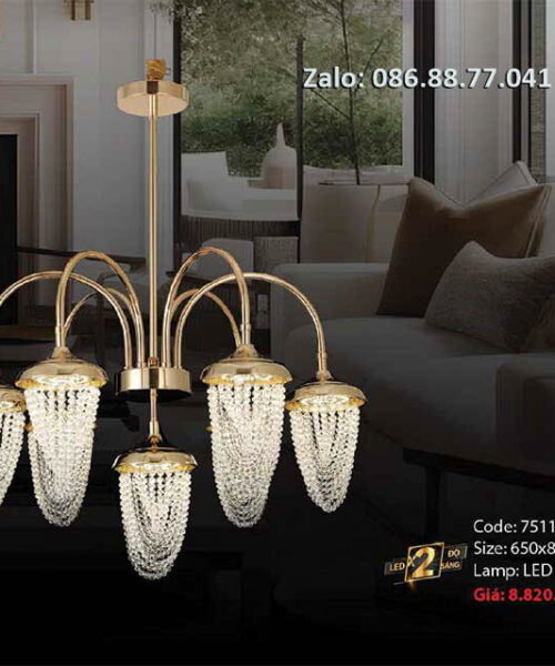 den-tha-pha-le-7511-61