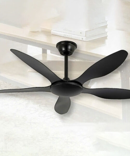 quat-tran-trang-tri-mf5-5bh-mf5-5ch